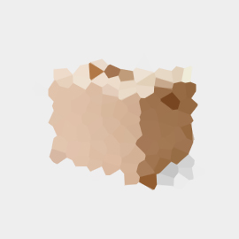 Samsung Galaxy Tab 10.1 Samsung Galaxy Tab 10.1