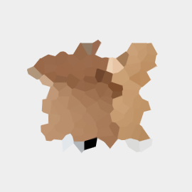 Samsung Galaxy Tab 10.1 Samsung Galaxy Tab 10.1